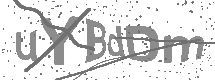 visual captcha